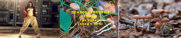 первитин Белоозёрский
