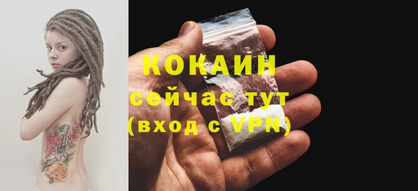 мяу мяу мука Белокуриха