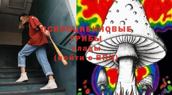 кокаин Богородицк